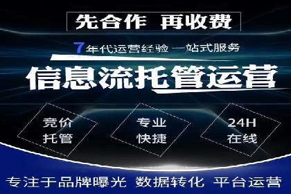 Sem优化公司案例：精准广告投放策略解析